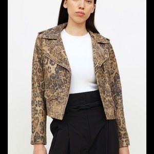 Walter baker 100% lamb leather Moto jacket